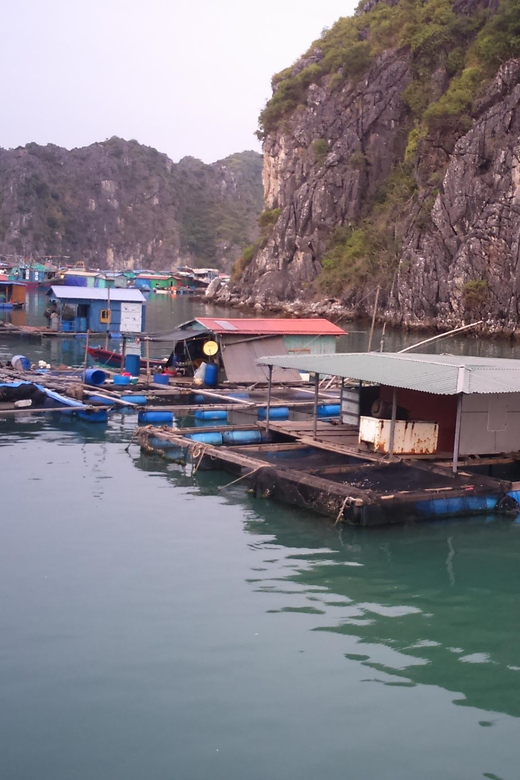 Cat Ba: 2-Day Lan Ha Bay Cruise With Plankton Excursion - Pricing and Booking Information