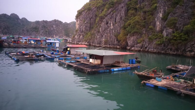 Cat Ba: 2-Day Lan Ha Bay Cruise With Plankton Excursion - Pickup and Drop-off Arrangements