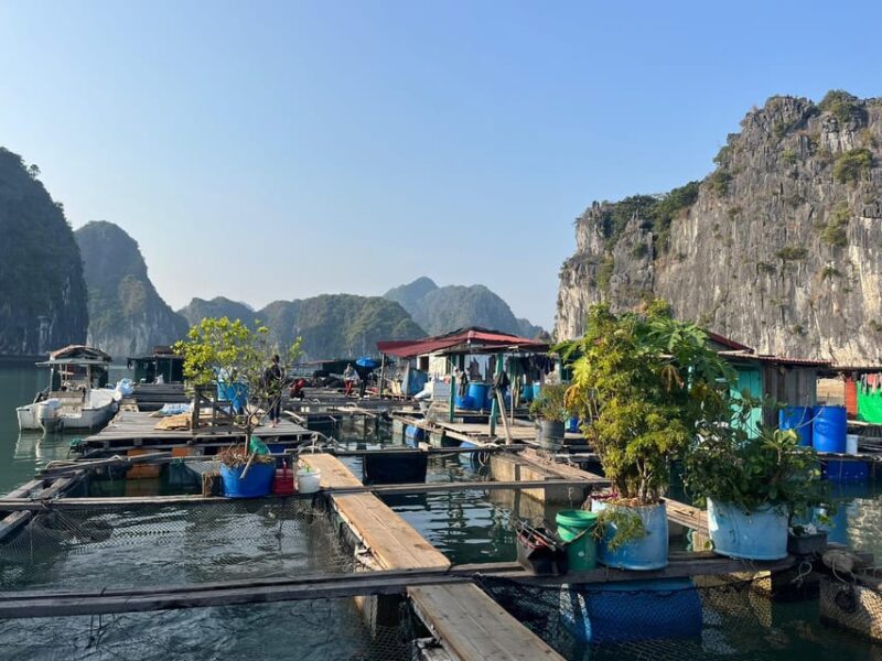 Cat Ba: 2-Day Lan Ha Bay Cruise With Plankton Excursion - Dining and Accommodations