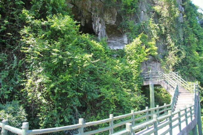 Cat Ba 2 Day Trip : Luxury Cruise, National Park, Beach - Transport and Pickup