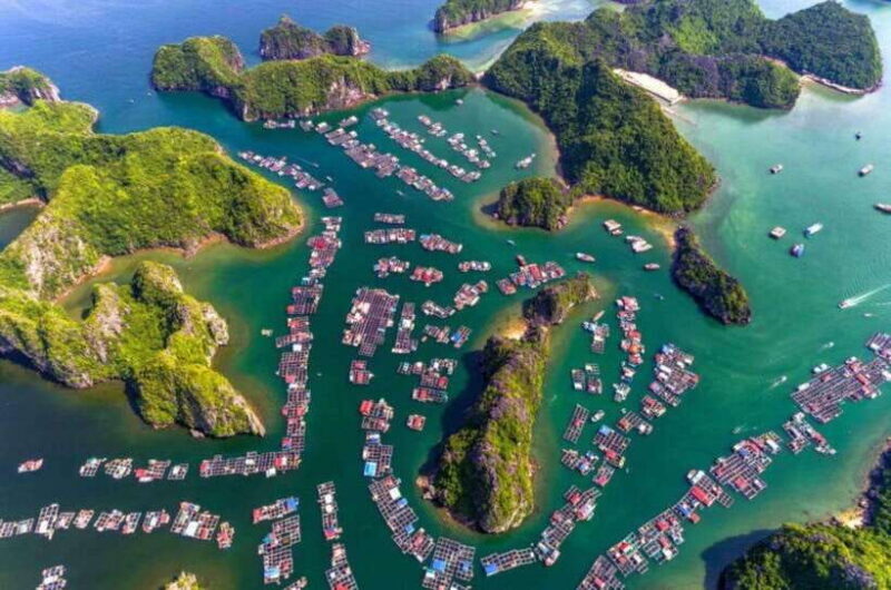 Cat Ba 2 Days Trip: Luxury Cruise, National Park & Beach - Pickup and Drop-off Details