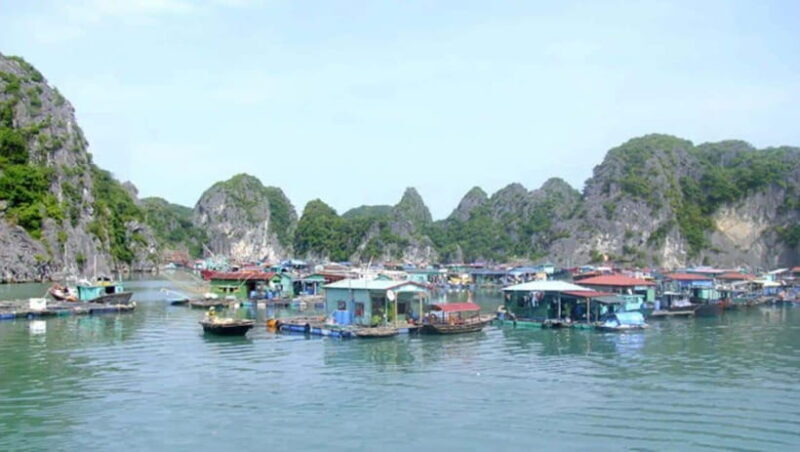 Cat Ba 2 Days Trip: Luxury Cruise, National Park & Beach - Frequently Asked Questions