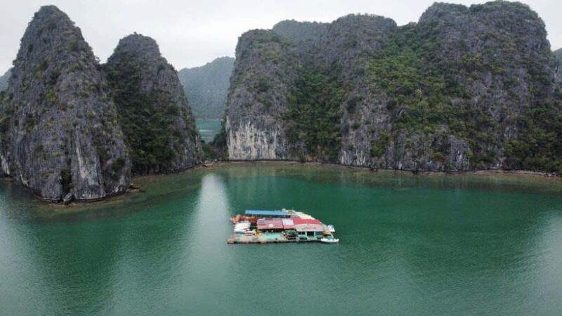 CAT BA :2d1n Lan Ha BAy-Ha Long BAy With Plankton Excursion - Day 1 Activities