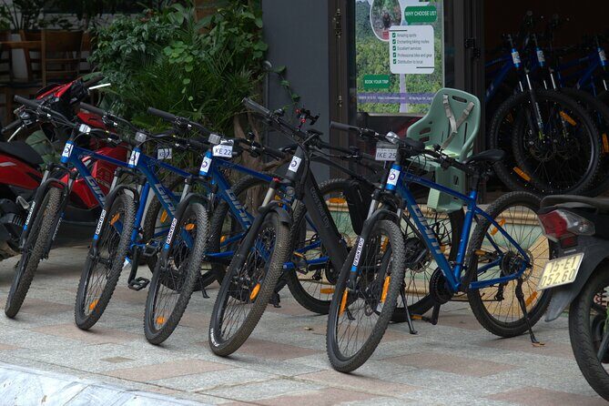 Cat Ba Bike Rental - FAQ