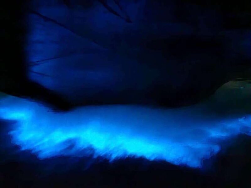 Cat Ba by Night With Bioluminescent Plankton - Booking and Pricing Information