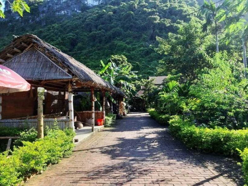 Cat Ba Island and Lan Ha Bay Day Trip - What to Expect on the Day Trip