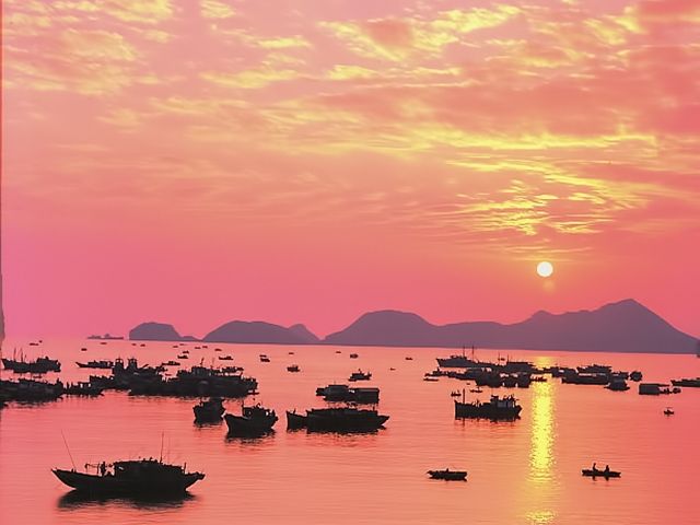 Cat Ba Island Day Trip From Ha Long City - Key Points