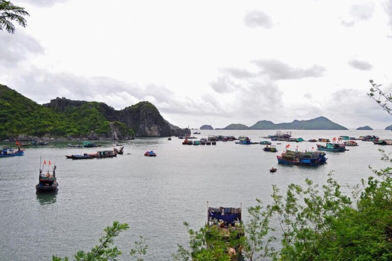 Cat Ba Island Day Trip From Ha Long City - Destination Overview
