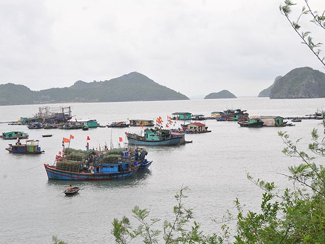 Cat Ba Island Day Trip From Ha Long City - Tour Activities