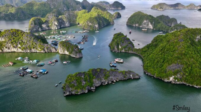 Cat Ba Island: Full-Day Cruise to Lan Ha and Ha Long Bay - What to Bring and Avoid