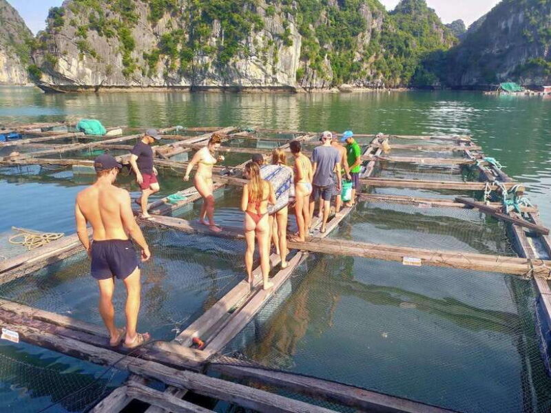 Cat Ba Island: Full-Day Cruise to Lan Ha Bay and Ha Long Bay - Recommendations and Restrictions