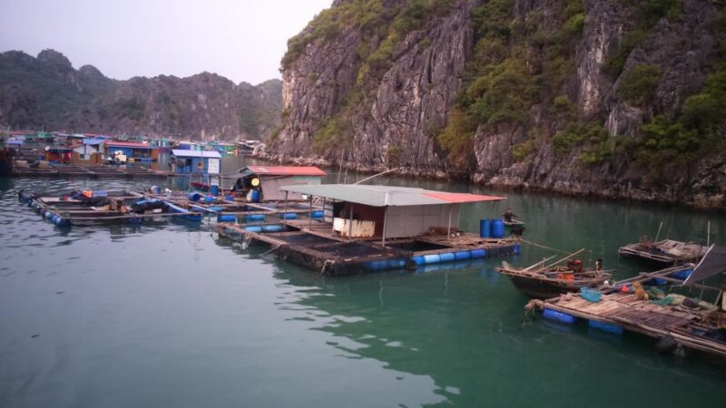 Cat Ba Island: Full-Day Cruise to Lan Ha Bay and Ha Long Bay - Pickup and Departure