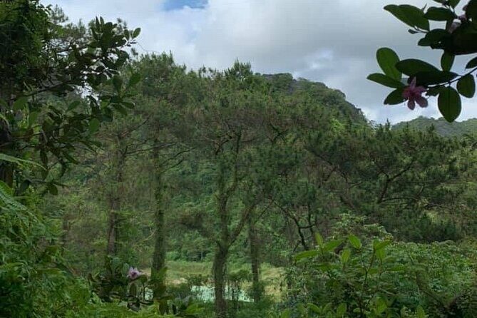 Cat Ba Island Getaway - The Sum Up: Is This Tour Right for You?