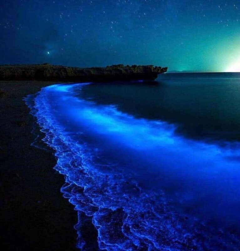 Cat Ba Island: Lan Ha Bay Bioluminescence Plankton Kayaking - Highlights and Experiences