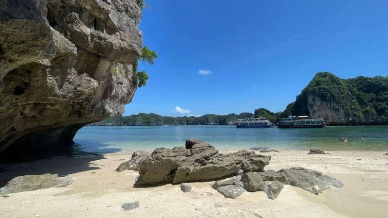 Cat Ba Island: Lan Ha Bay Bioluminescence Plankton Kayaking - Inclusions and Recommendations