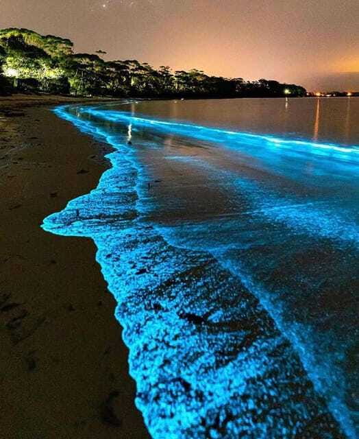 Cat Ba Island: Lan Ha Bay Bioluminescence Plankton Kayaking - Frequently Asked Questions