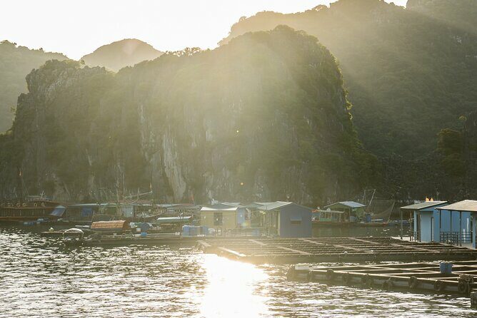 Cat Ba Island - Lan Ha Bay Day Trip: Kayaking, Swimming and Meal - The Experience of a Lifetime or a Busy Day?