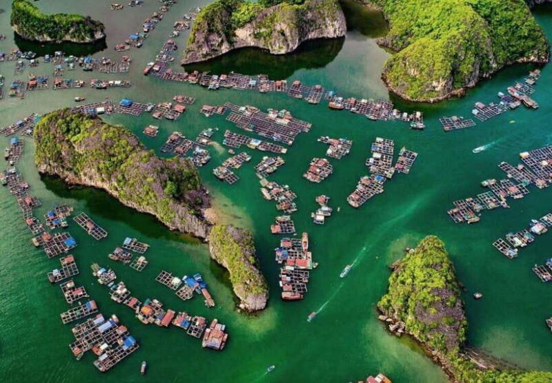 Cat Ba Island-Lan Ha Bay Day Trip: Kayaking, Swimming,Biking - Itinerary Highlights