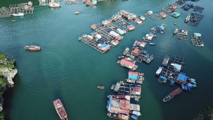 Cat Ba Island - Lan Ha Bay - Ha Long Bay Full Day Tour - Sunset and Return