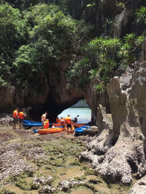 Cat Ba: Lan Ha Bay Full-Day Boat Tour - Inclusions and Important Information