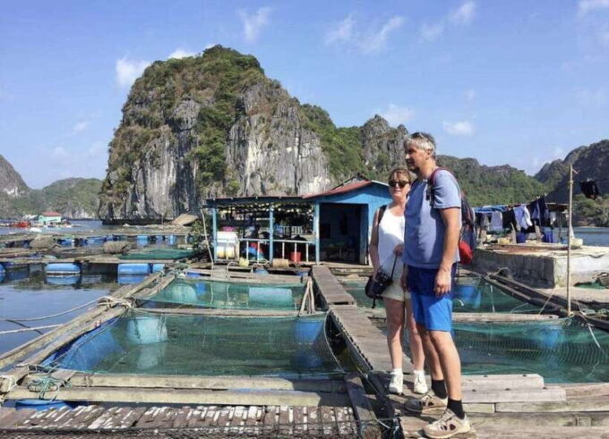 Cat Ba: Lan Ha Bay Full-Day Boat Tour - Since You Asked
