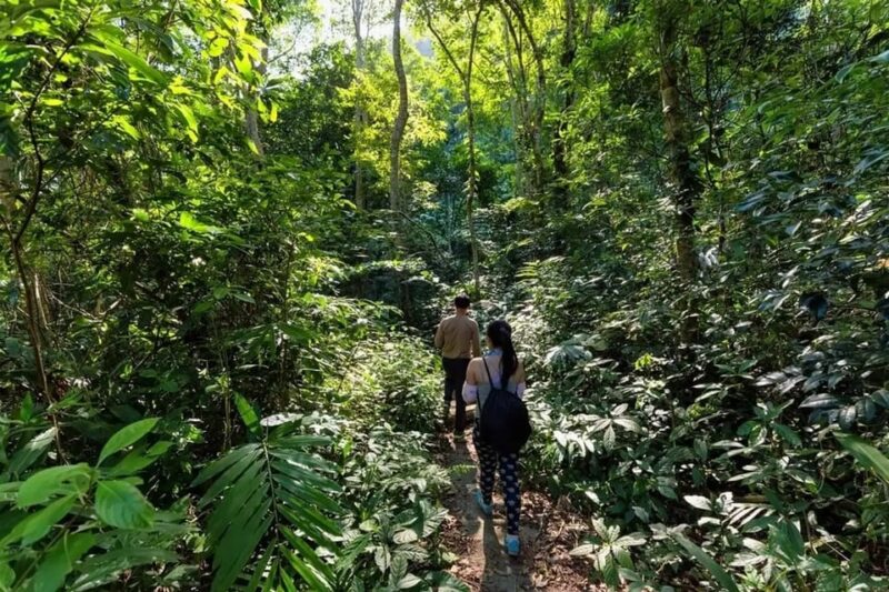 Cat Ba National Park Adventure Tour With Cycling, Trekking - Kayaking and Exploration