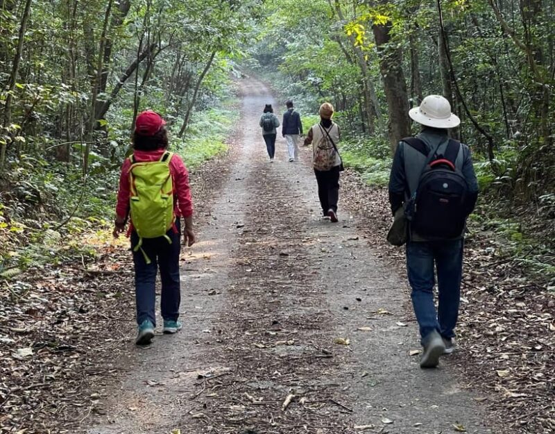 Cat Ba National Park Day Trip: Trekking, Cycling, Kayaking - Itinerary and Activities