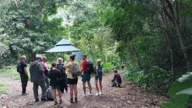Cat Ba: National Park Day Trip With Cycling and Kayaking - Visiting Viet Hai Village