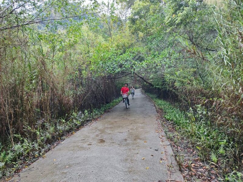 Cat Ba National Park Full Day Guide Tour Trekking & Kayaking - Itinerary