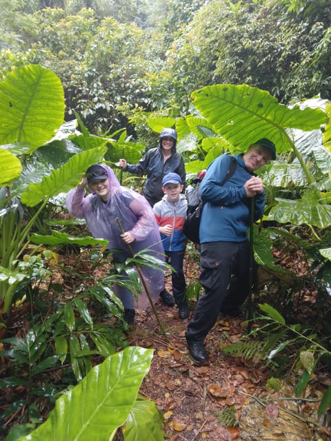 Cat Ba National Park Full Day Guide Tour Trekking & Kayaking - Recommendations