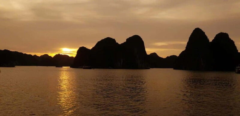 Cat Ba: Night Kayaking With Glowing Plankton - Dining and Meals