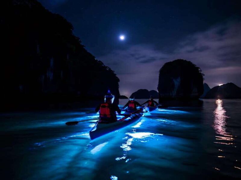 Cat Ba: Sunset and Night Kayak With Bioluminescent Plankton - Itinerary Details