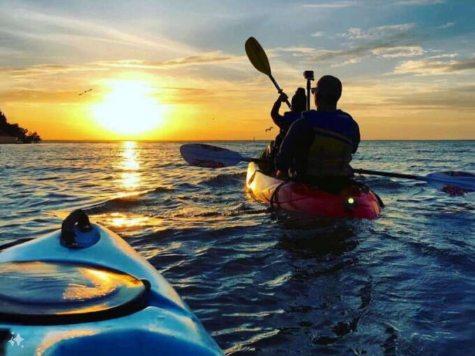 Cat Ba: Sunset and Night Kayak With Bioluminescent Plankton - The Magical Bioluminescent Plankton Encounter