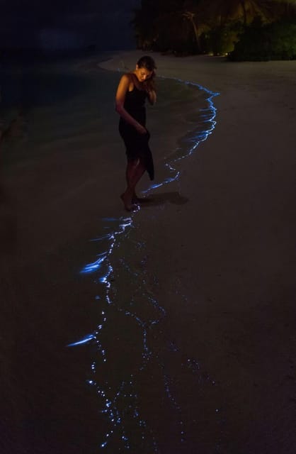 Cat Ba: Sunset and Plankton Bioluminescent Night Kayak - Important Information