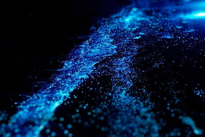 Cat Ba: Sunset & Bioluminescent Kayaking on Lan Ha Bay - The Practicalities: What’s Included and What to Consider