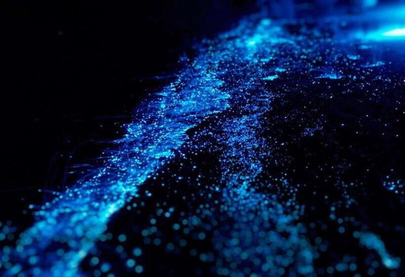 Cat Ba: Sunset & Bioluminescent Kayaking on Lan Ha Bay - The Bioluminescent Kayaking Experience