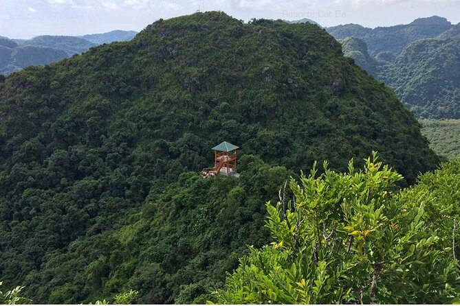 Cat Ba Trekking Tours National Park Half Day From Cat Ba Island - Included and Excluded