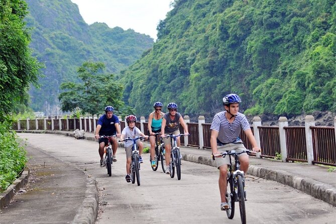 Cat Ba Trekking Tours National Park Half Day From Cat Ba Island - Departure Options