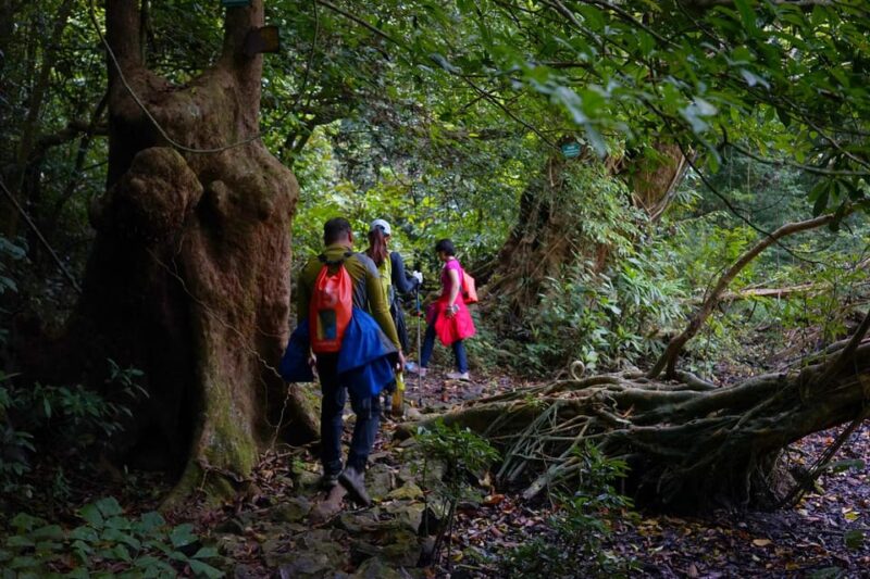 Cat Ba_Sup/Trekking Conquering Cat Ba Forest and Lan Ha Bay - Exclusions and Restrictions