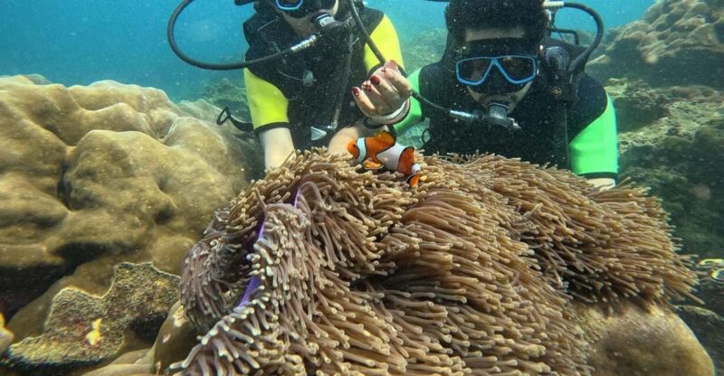 Cat Island Phuket: Scuba Diving and Relaxing on Island - Underwater Formations and Landscapes