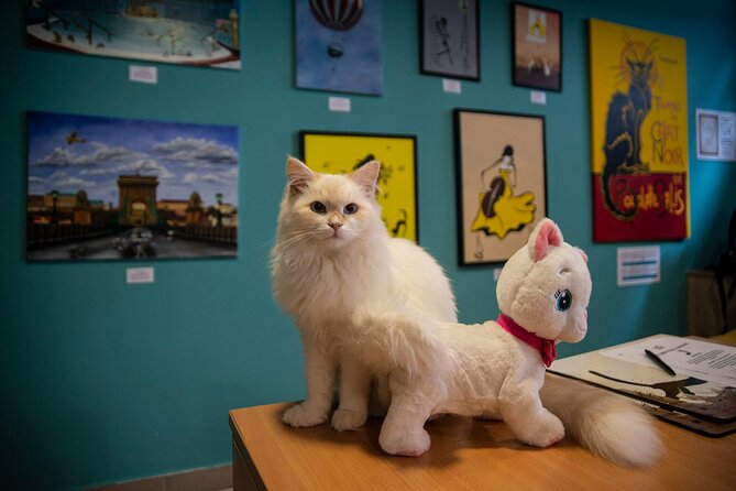 Cat Museum Budapest Entry Ticket - Inclusions and Accessibility