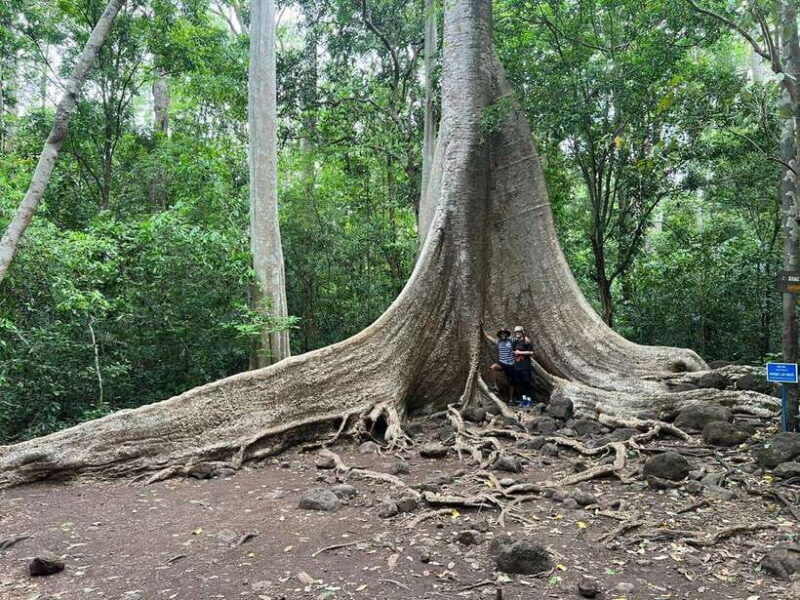 Cat Tien National Park Private 2 Days Biking & Trekking Tour - Itinerary Details