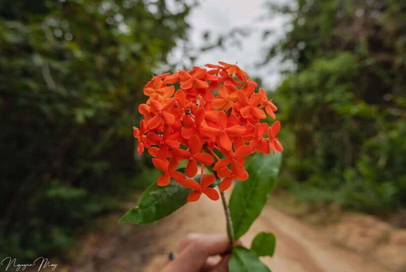 Cat Tien National Park Private 2 Days Biking & Trekking Tour - Frequently Asked Questions