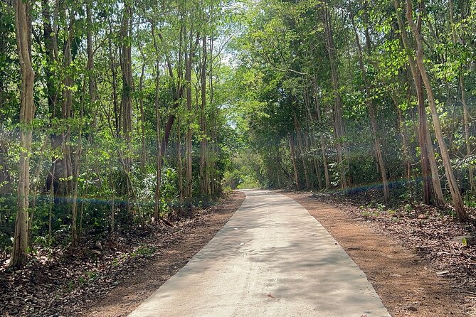 Cat Tien National Park Tour Biking - Trekking By Motorbike/Car - Pickup Arrangements