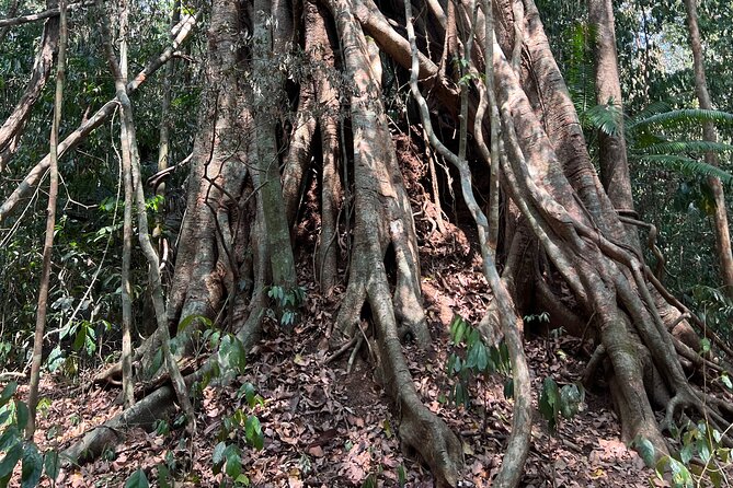 Cat Tien National Park Tour Biking - Trekking By Motorbike/Car - Past Traveler Feedback