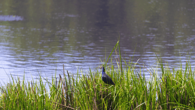 Cat Tien National Park With Crocodile Lake - Important Requirements