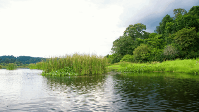 Cat Tien National Park With Crocodile Lake - Frequently Asked Questions
