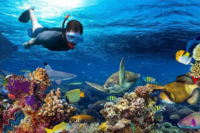 Catalina Island All Inclusive From Punta Cana (Full Day) - Preparing for the Tour