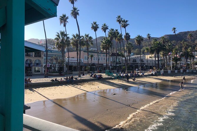 Catalina Island All Inclusive Sightseeing Tour From Orange County - Tour Reviews