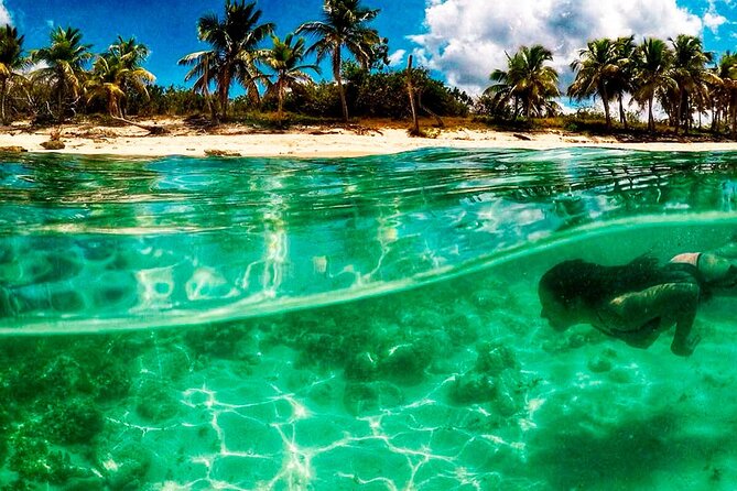 Catalina Island and Bayahibe Snorkel Tour - Meeting and Pickup Details